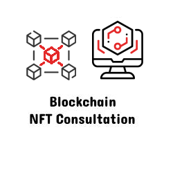 Blockchain / NFT Consultation